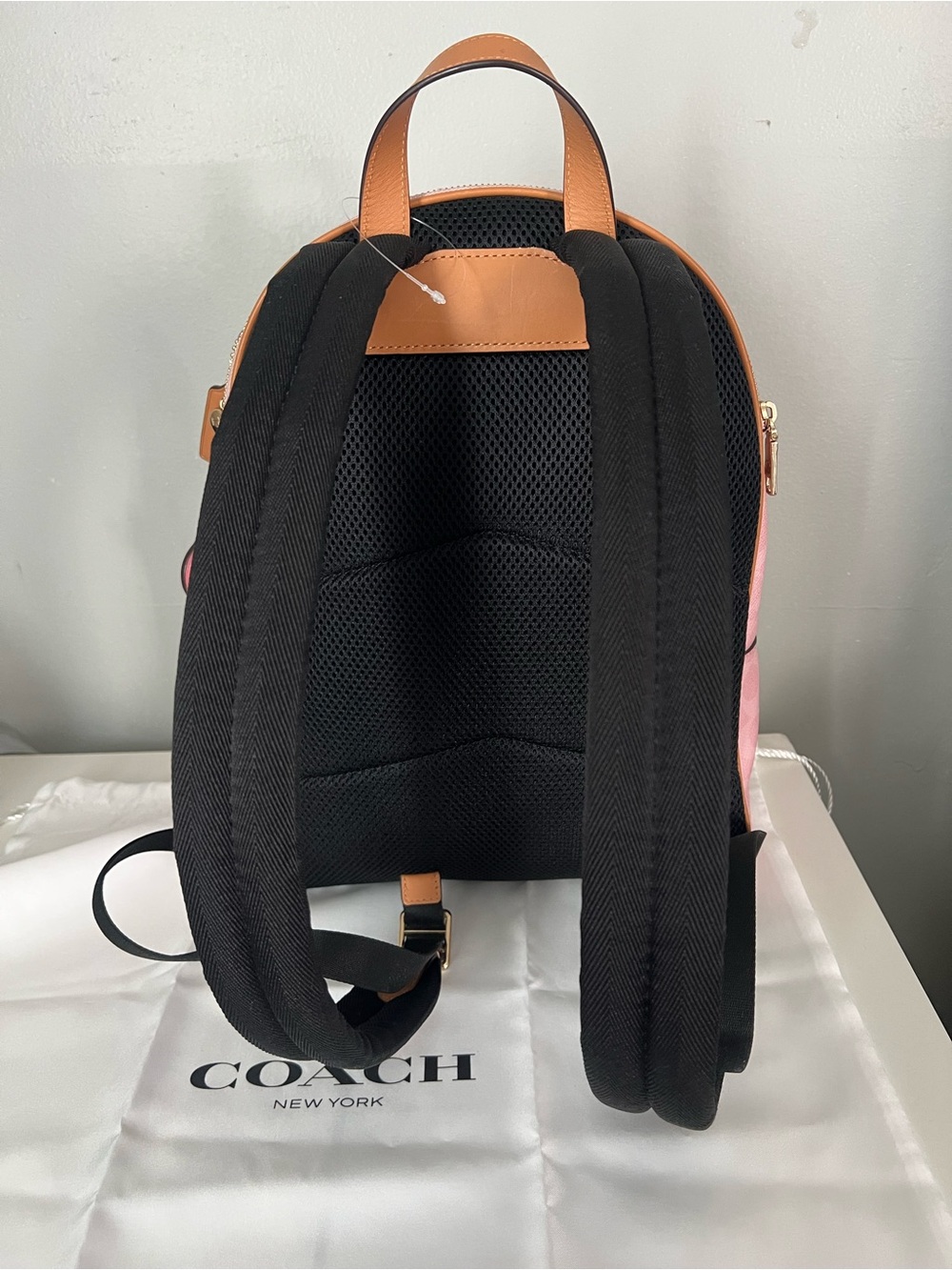 Coach Taylor Backpack In Powder Pink Color - Picture 11 of 13